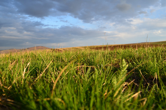 SELLER’s DISCLOSURE OF PROPERTY CONDITION NOT REQUIRED FOR VACANT LAND