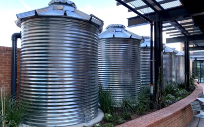 Rainwater in Texas: HOA Restrictions + Incentives