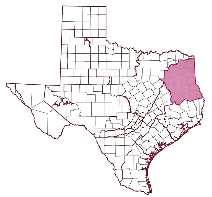 East Texas Groundwater Goes to Austin