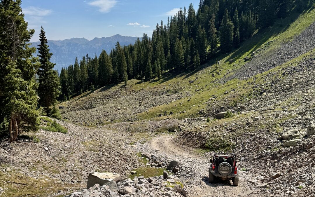 The Meaning of “Strict” in Necessity Easements