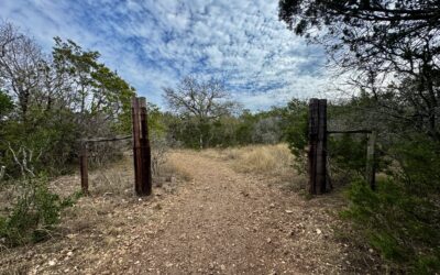 New Appeals Opinion is a Clinic on Necessity Easements